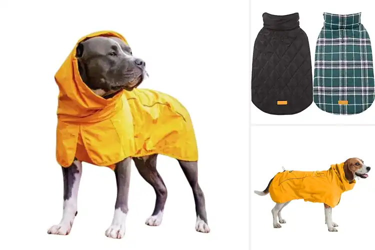 Detailed view of Best Waterproof Dog Jacket: Top 10 Picks for Dry Adventures