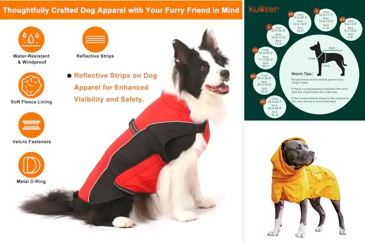 Detailed view of Best Waterproof Dog Jackets: Keep Your Pup Dry & Warm