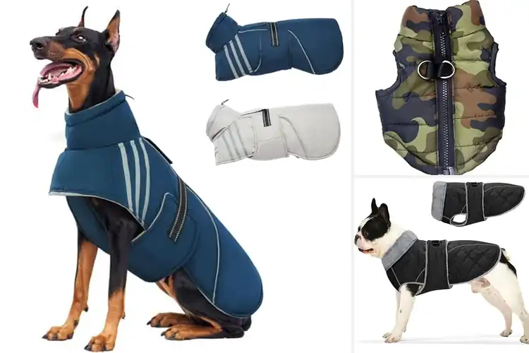Detailed view of Best Waterproof Dog Vest For Cold Weather