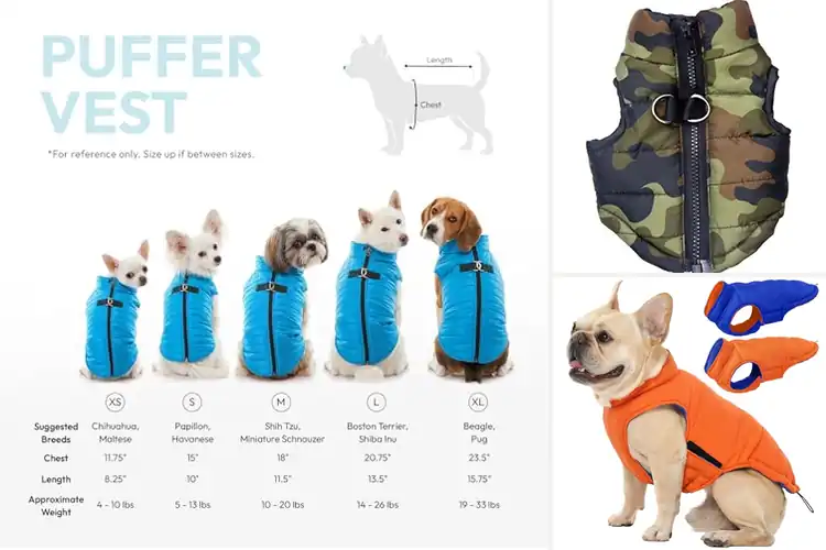Detailed view of Best Waterproof Dog Vest: Top 10 Picks for Warmth & Dryness