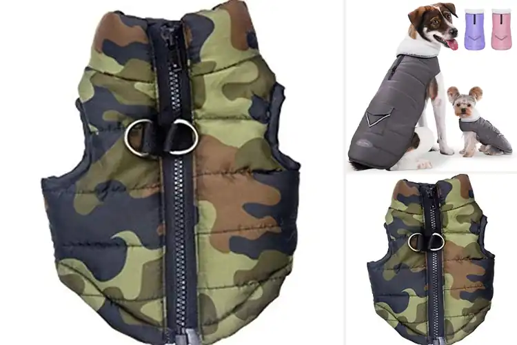 Detailed view of Best Waterproof Dog Vests For Teddy Dogs