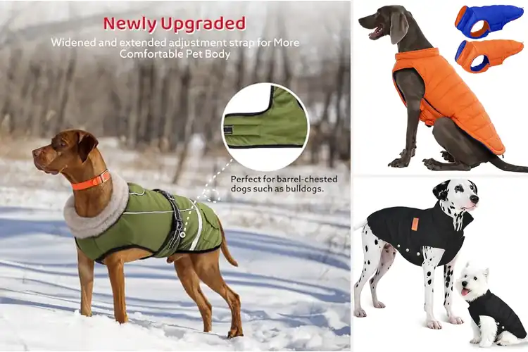 Detailed view of Best Waterproof Dog Vests: Top Picks for Safety & Comfort