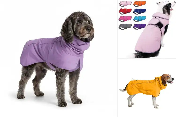 Detailed view of Best Waterproof Windproof Dog Coat