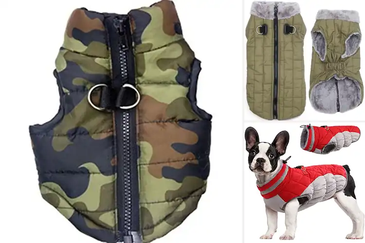 Detailed view of Best Waterproof Winter Dog Vest For Small Breeds
