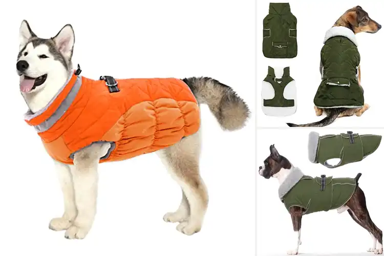 Detailed view of Best Windproof Dog Coat For Cold Weather