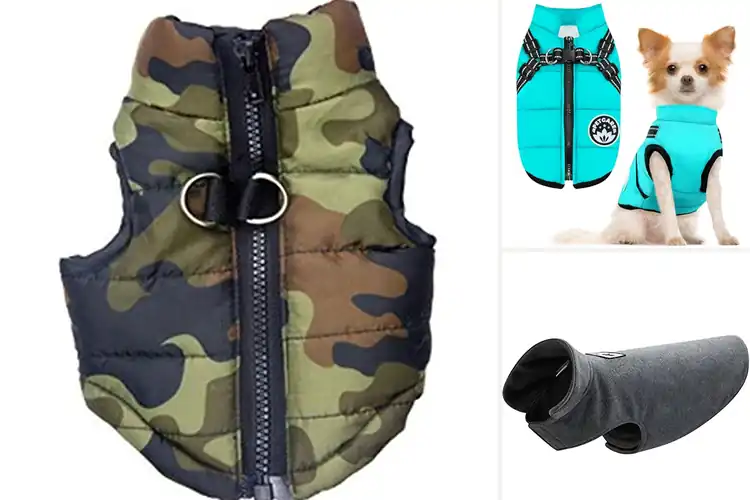 Detailed view of Best Windproof Dog Vests: Top 10 Cozy Picks for Your Pup