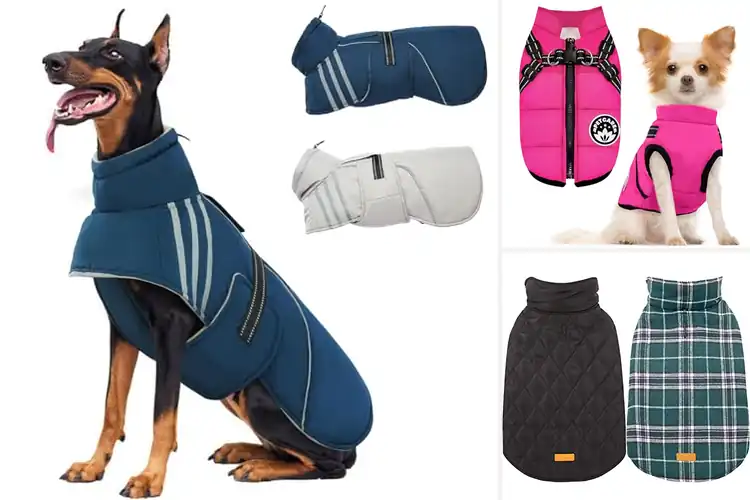 Detailed view of Best Windproof Waterproof Dog Vest