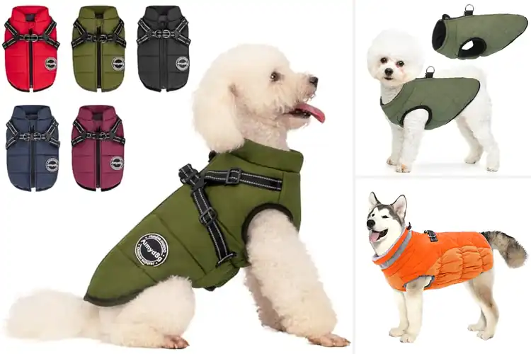 Detailed view of Best Winter Dog Vest: 10 Cozy Picks for Joyful Winter Walks