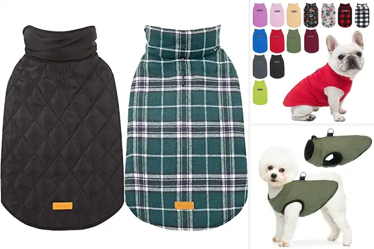 Detailed view of Best Winter Dog Vests For Small Dogs