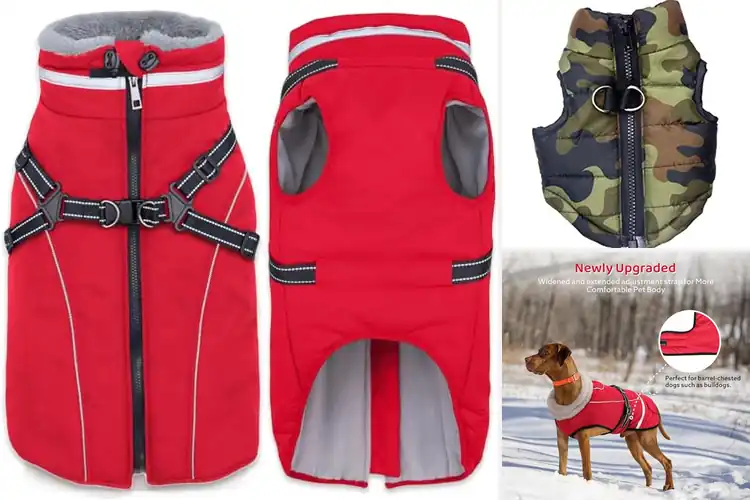 Detailed view of Best Winter Dog Vests