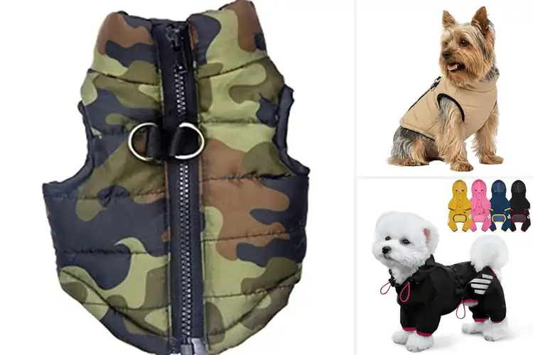 Detailed view of Best Yorkshire Dog Coats