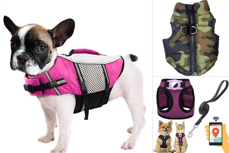 Detailed view of Best Yorkshire Terrier Vests
